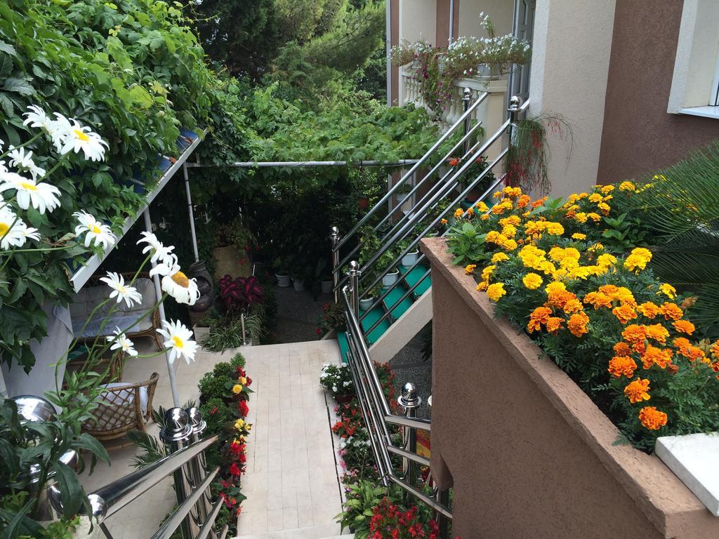 Apartman Knezevic *